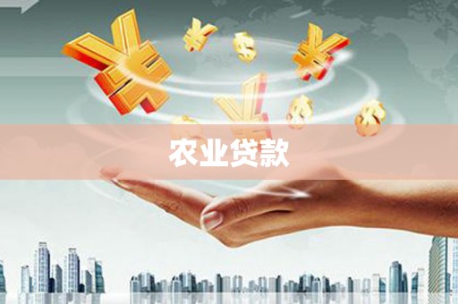 中卫农业贷款