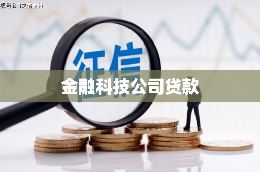西丰金融科技公司贷款