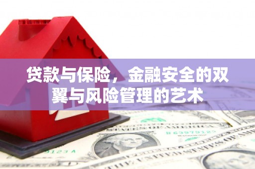 中坜贷款与保险，金融安全的双翼与风险管理的艺术