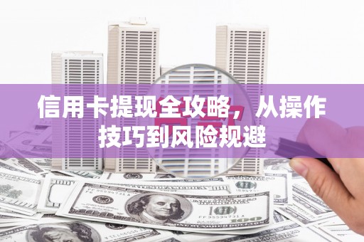 莱山信用卡提现全攻略，从操作技巧到风险规避