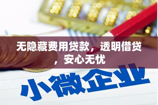 镇安无隐藏费用贷款，透明借贷，安心无忧