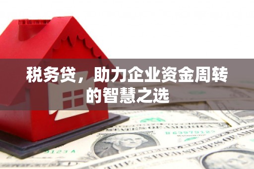 山阳税务贷，助力企业资金周转的智慧之选
