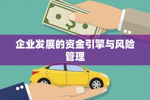 二林企业发展的资金引擎与风险管理