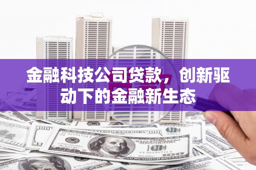 凤林金融科技公司贷款，创新驱动下的金融新生态