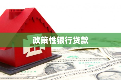 梧州政策性银行贷款