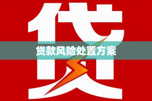 华宁贷款风险处置方案