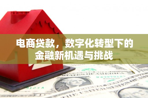 毕节电商贷款，数字化转型下的金融新机遇与挑战