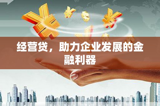 定安经营贷，助力企业发展的金融利器