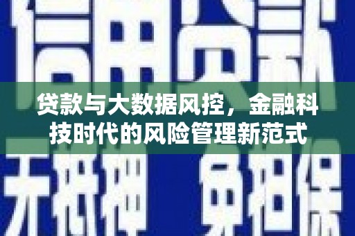 天宁贷款与大数据风控，金融科技时代的风险管理新范式