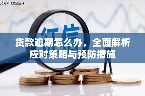 夏县贷款逾期怎么办，全面解析应对策略与预防措施