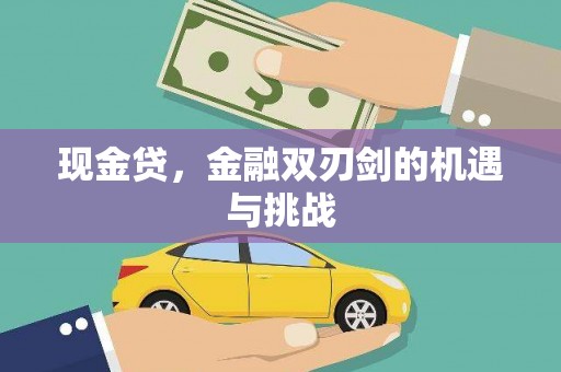 北仑现金贷，金融双刃剑的机遇与挑战