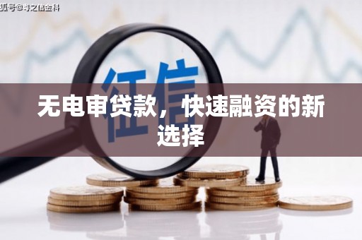 港南无电审贷款，快速融资的新选择