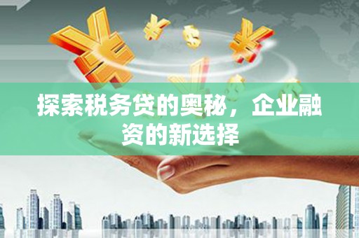 溆浦探索税务贷的奥秘，企业融资的新选择