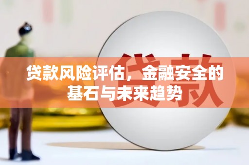 镇康贷款风险评估，金融安全的基石与未来趋势