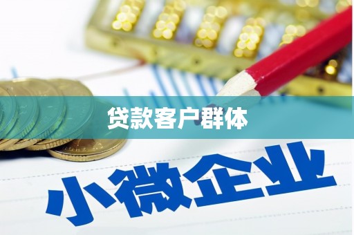 临安贷款客户群体