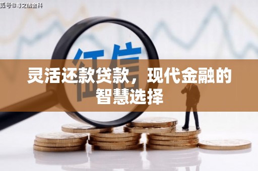武汉灵活还款贷款，现代金融的智慧选择