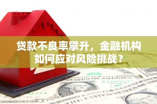 塔什库尔干塔吉克贷款不良率攀升，金融机构如何应对风险挑战？