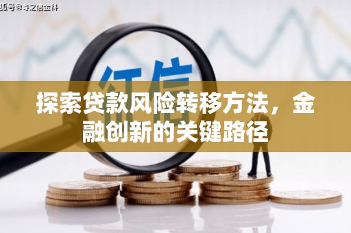 苍南探索贷款风险转移方法，金融创新的关键路径