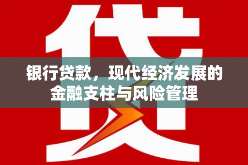 朱家尖银行贷款，现代经济发展的金融支柱与风险管理