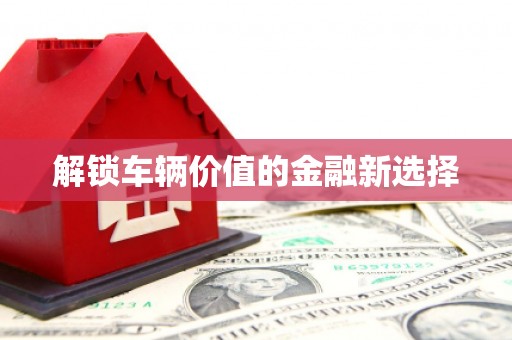 湖滨解锁车辆价值的金融新选择