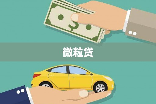 杭锦后旗微粒贷
