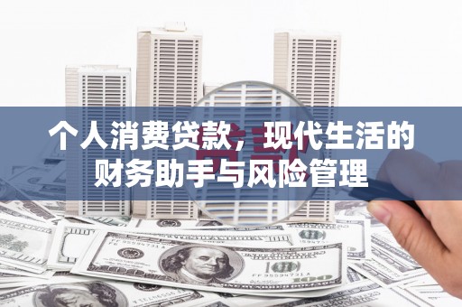 蒲城个人消费贷款，现代生活的财务助手与风险管理