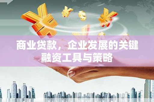 魏县商业贷款，企业发展的关键融资工具与策略