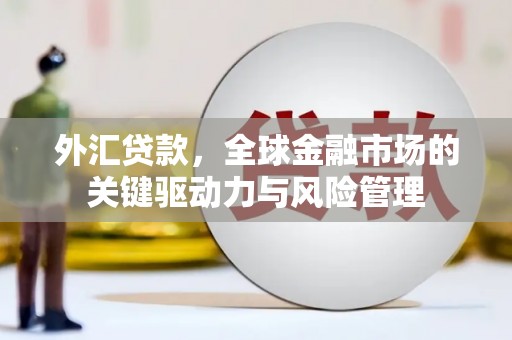 永年外汇贷款，全球金融市场的关键驱动力与风险管理