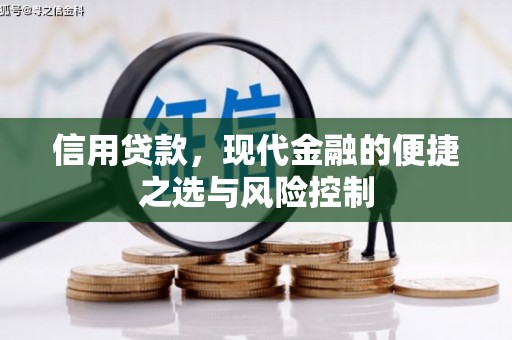 新林信用贷款，现代金融的便捷之选与风险控制