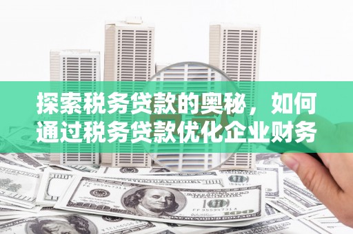 洪雅探索税务贷款的奥秘，如何通过税务贷款优化企业财务