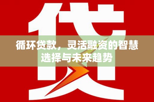 天宁循环贷款，灵活融资的智慧选择与未来趋势