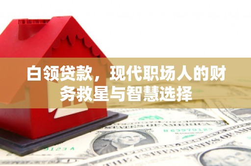 西峡白领贷款，现代职场人的财务救星与智慧选择
