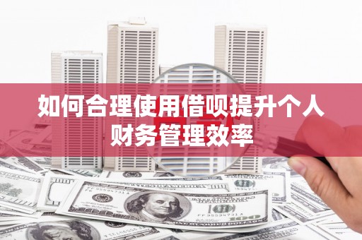 宣威如何合理使用借呗提升个人财务管理效率