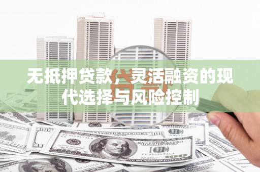学甲无抵押贷款，灵活融资的现代选择与风险控制