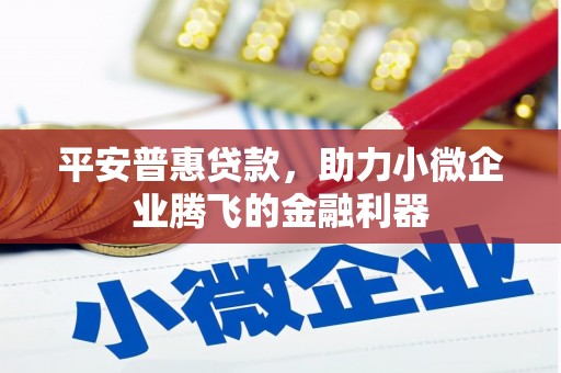 嘉兴平安普惠贷款，助力小微企业腾飞的金融利器