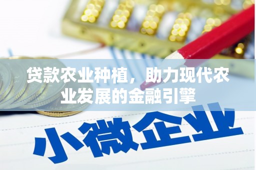 横沥贷款农业种植，助力现代农业发展的金融引擎