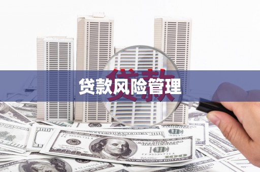 静海贷款风险管理