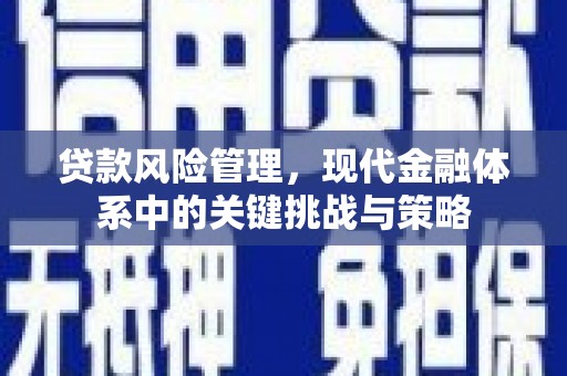 凤阳贷款风险管理，现代金融体系中的关键挑战与策略
