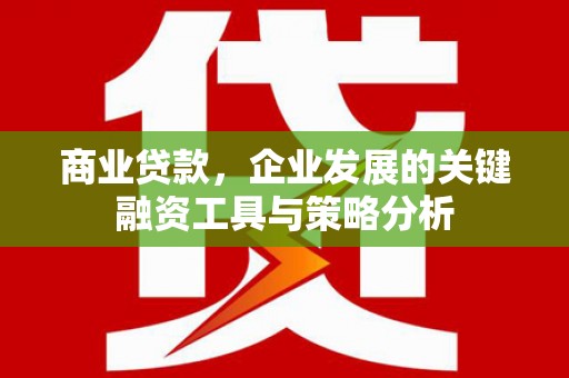 林甸商业贷款，企业发展的关键融资工具与策略分析