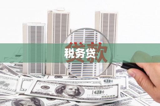 汐止税务贷