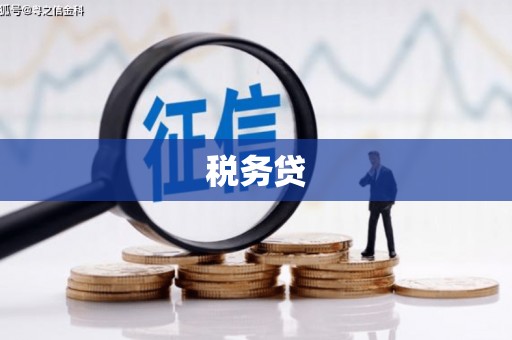 庐阳税务贷