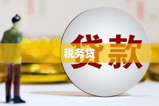 麦寮税务贷