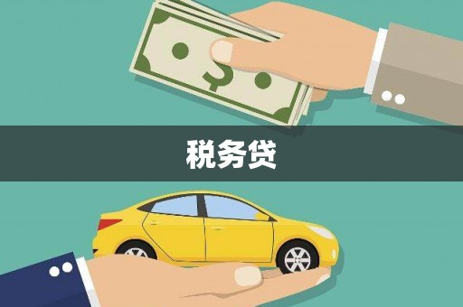 黄石港税务贷