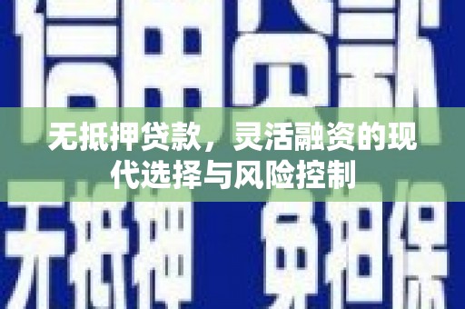 云龙无抵押贷款，灵活融资的现代选择与风险控制