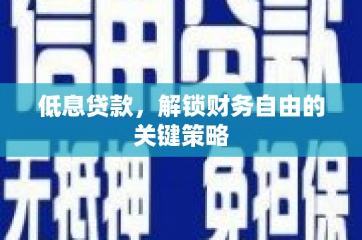 阿勒泰低息贷款，解锁财务自由的关键策略