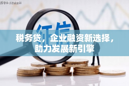 容县税务贷，企业融资新选择，助力发展新引擎