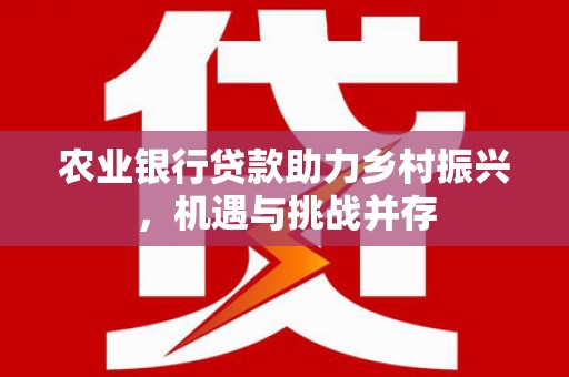 雨山农业银行贷款助力乡村振兴，机遇与挑战并存