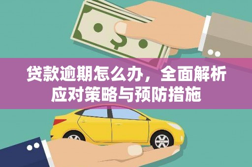 文峰贷款逾期怎么办，全面解析应对策略与预防措施