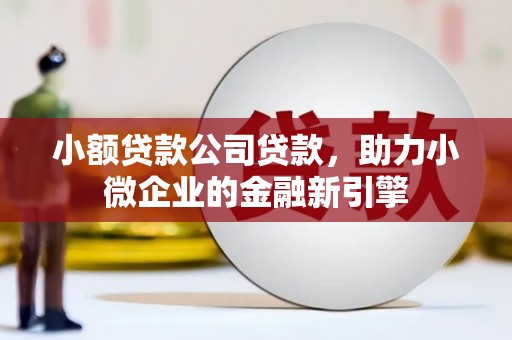 德州小额贷款公司贷款，助力小微企业的金融新引擎