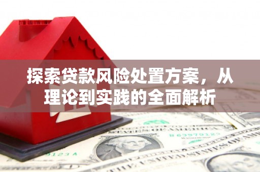 阳信探索贷款风险处置方案，从理论到实践的全面解析